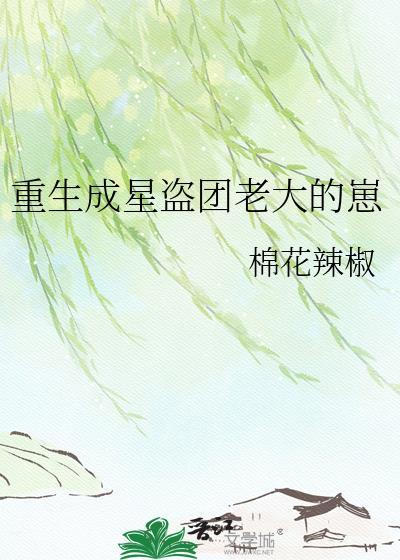 重生成星盗团老大的崽棉花辣椒
