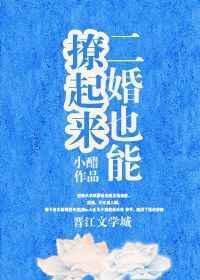 二婚也能遇见真爱全文免费阅读