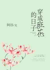 穿成班花的日子阿淳晋江