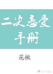 二次恋爱手册百度