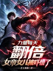 女帝功率