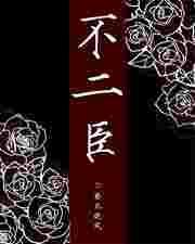 不二臣txt