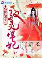 盛世娇宠作者风轻灵