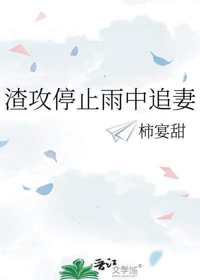 渣攻 追妻