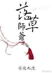 落草师爷 作者司徒九流