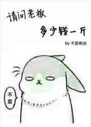 请问老板多少钱一斤怎么回答