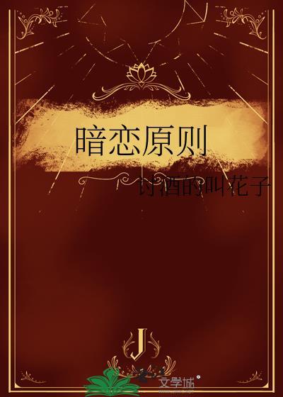 暗恋原则by讨酒的叫花子Txt百度