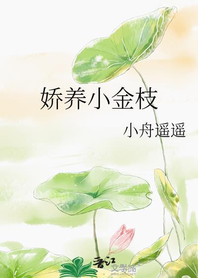 娇养小金枝by小舟遥遥番外