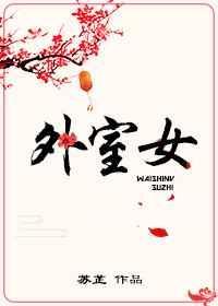 外室女苏芷讲的什么