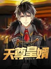 天尊皇婿杨九天陈艺