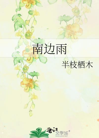 南边雨by半枝栖木免费阅读