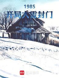 1985开局大雪封门无错版
