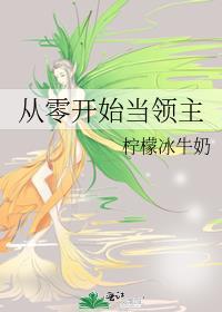 从零开始当领主百度