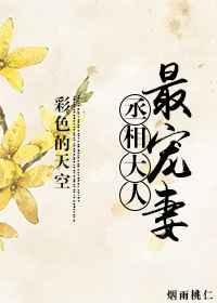 丞相大人最宠妻 by爱色的天空 全文阅读