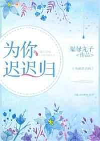 为你迟迟归免费阅读