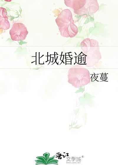 北城婚逾免费阅读