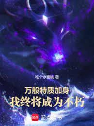 我加载了武道破限面板全文阅读