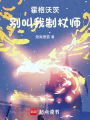 霍格沃茨别叫我制杖师在线阅读