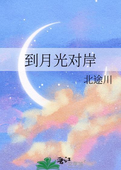 到月光对岸百度txt