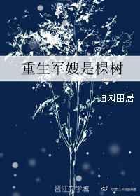 重生之军嫂是神棍