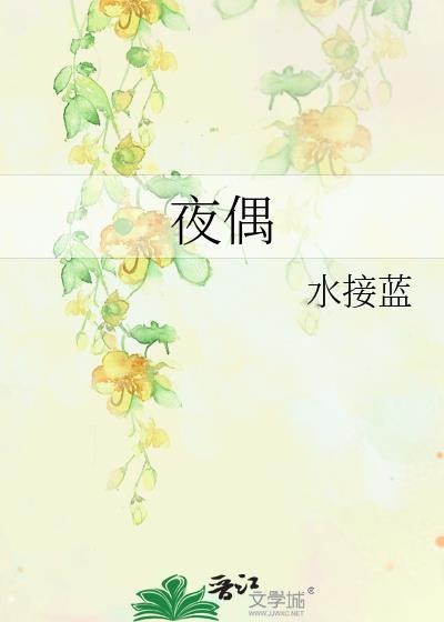 夜偶讲的什么