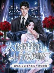 大佬圈养的小白兔跑路了免费阅读