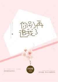 你别再追我了 百度