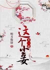 这个小妾不一般百度