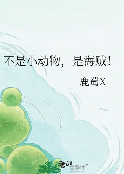是海贼的动漫