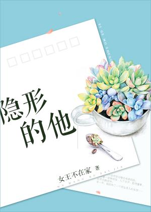 隐形的他免费阅读