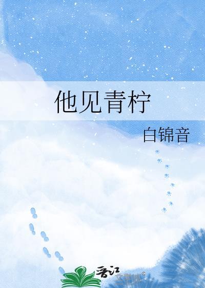 他见青柠白锦音全文免费阅读