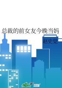 总裁的前女友今晚当妈原书名