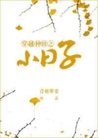 穿越种田之小日子