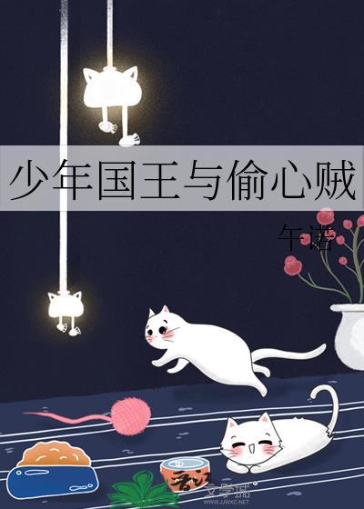 少年国王与偷心贼